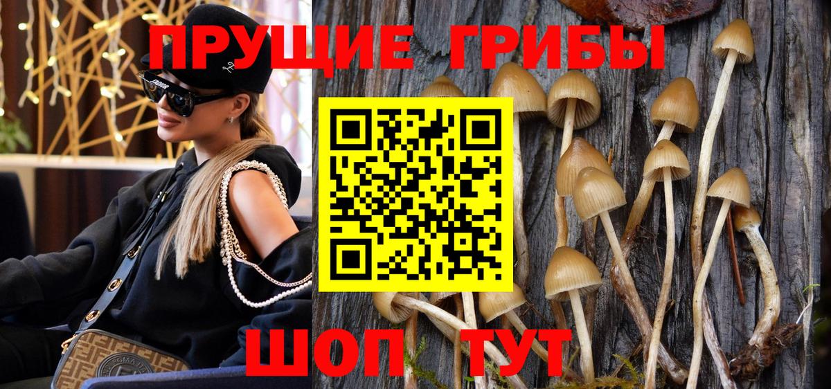 Псилоцибиновые грибы ЛСД  Вход с VPN  Нижнеудинск  Галлюциногенные грибы ЛСД 
