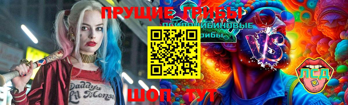 Псилоцибиновые грибы мицелий Нижнеудинск