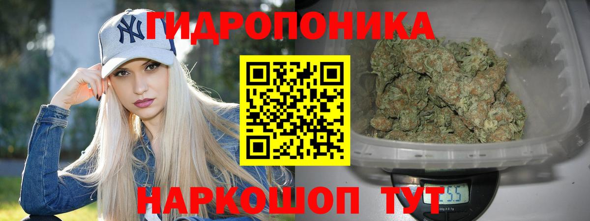 Канабис SATIVA & INDICA  Вход с VPN  Нижнеудинск  Каннабис конопля  Бошки марихуана марихуана 